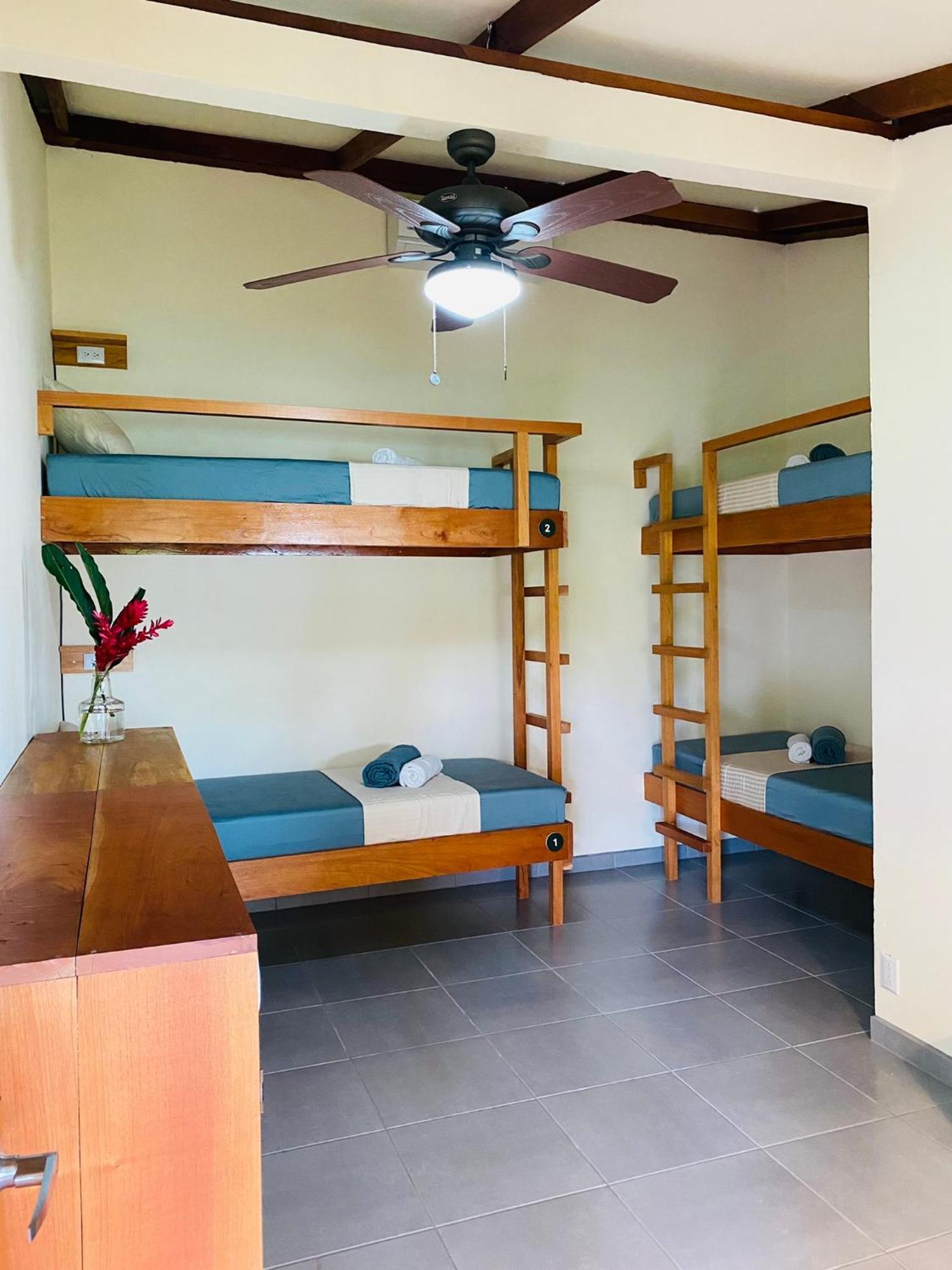 El Hostel Del Patio 토르투게로 외부 사진